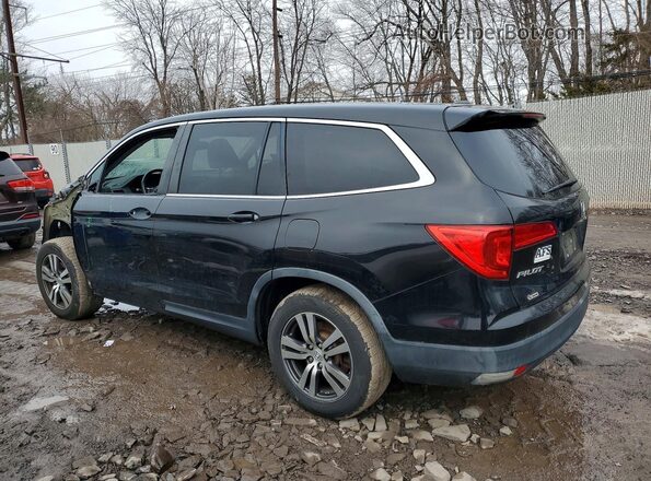 5FNYF6H58HB018991 2017 HONDA PILOT Black 