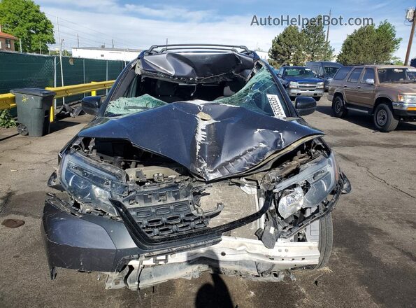 5FNYF8H2XMB031205 2021 HONDA PASSPORT Серый 