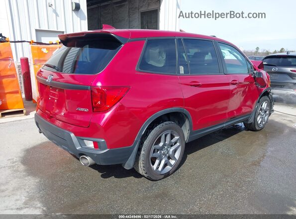 5FNYF8H56PB020040 2023 HONDA PASSPORT Red Rear right
