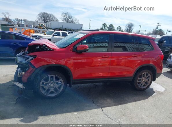 5FNYF8H56PB020040 2023 HONDA PASSPORT Red Rear interior view