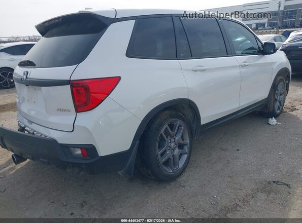 5FNYF8H58PB035557 2023 HONDA PASSPORT White 