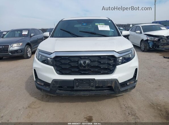5FNYF8H58PB035557 2023 HONDA PASSPORT White 