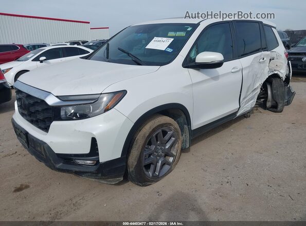 5FNYF8H58PB035557 2023 HONDA PASSPORT White 
