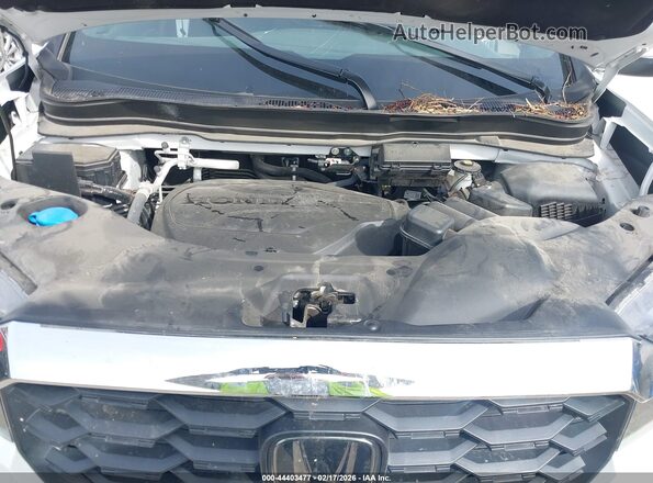 5FNYF8H58PB035557 2023 HONDA PASSPORT White 