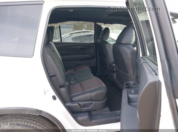 5FNYF8H89RB000376 2024 HONDA PASSPORT White VIN sticker view