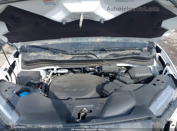 5FNYF8H89RB000376 2024 HONDA PASSPORT White Rear view