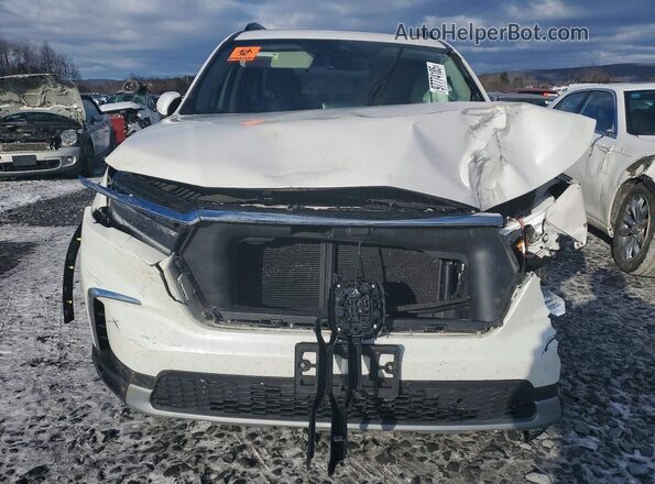 5FNYG1H70RB020091 2024 HONDA PILOT White Widok z przodu