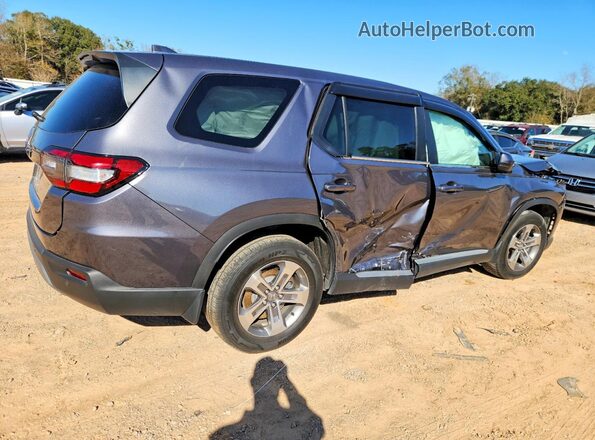 5FNYG2H41RB004610 2024 HONDA PILOT Gray Задня права чверть