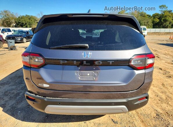 5FNYG2H41RB004610 2024 HONDA PILOT Gray Вид ззаду