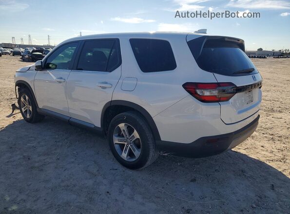 5FNYG2H56RB016728 2024 HONDA PILOT White Задня ліва чверть