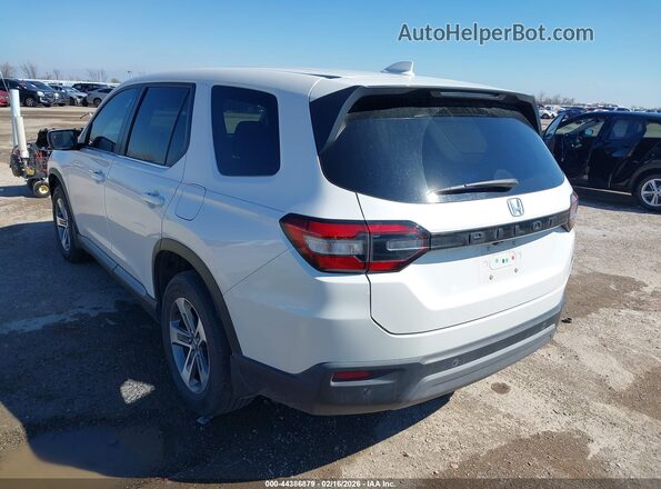 5FNYG2H58RB008517 2024 HONDA PILOT White 