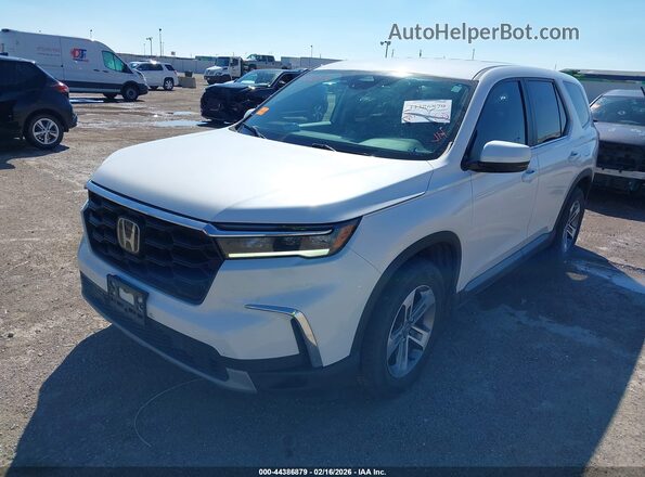 5FNYG2H58RB008517 2024 HONDA PILOT White 