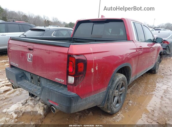 5FPYK3F52NB038668 2022 HONDA RIDGELINE Red Tył prawy