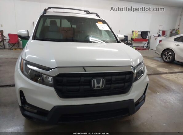 5FPYK3F52RB026638 2024 HONDA RIDGELINE Белый 