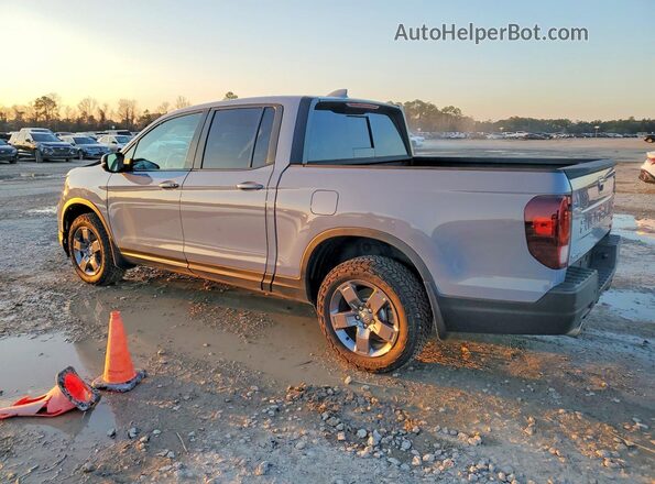 5FPYK3F61RB013274 2024 HONDA RIDGELINE Gray 