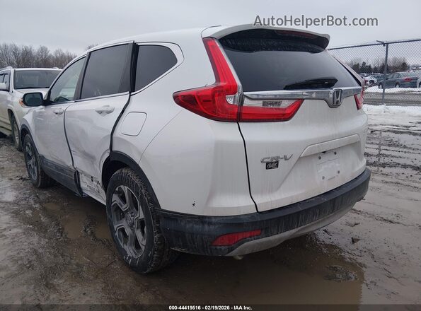 5J6RW1H53KA019189 2019 HONDA CR-V White Задня ліва чверть