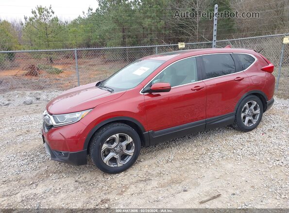 5J6RW1H53KL006446 2019 HONDA CR-V Красный 