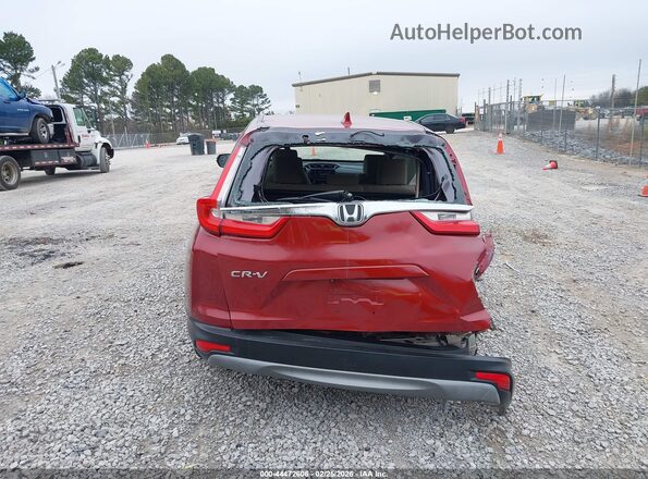 5J6RW1H53KL006446 2019 HONDA CR-V Красный 