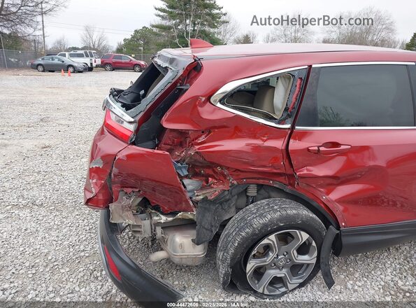 5J6RW1H53KL006446 2019 HONDA CR-V Красный 
