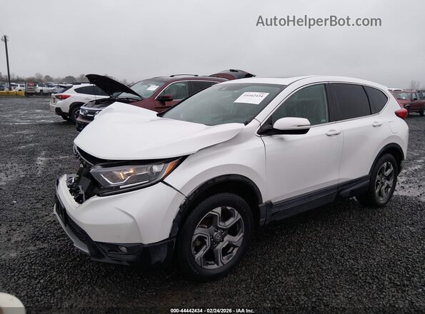 5J6RW2H50KA016854 2019 HONDA CR-V Белый 