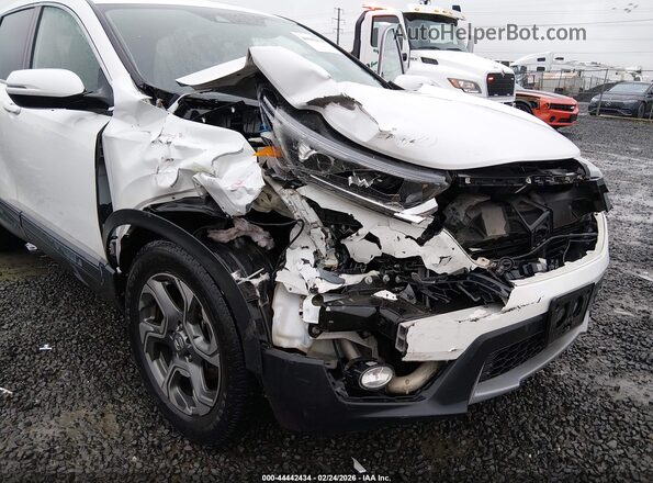 5J6RW2H50KA016854 2019 HONDA CR-V Белый 