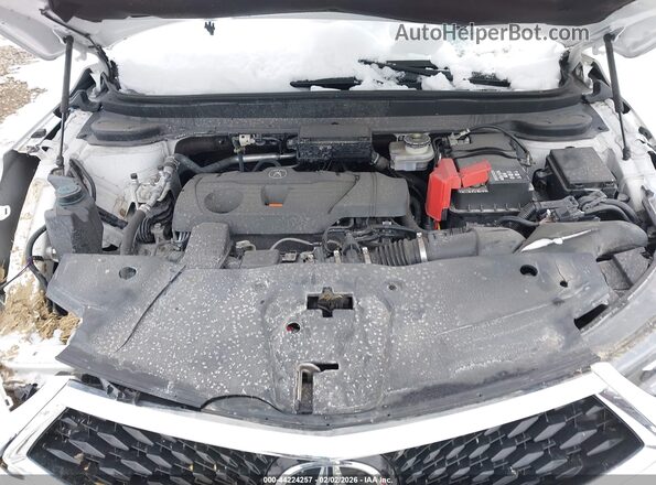 5J8TC2H54RL005408 2024 ACURA RDX White Հետևի տեսք