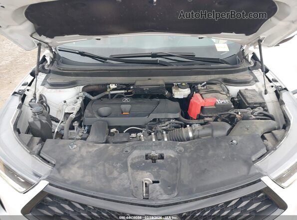5J8TC2H60RL021081 2024 ACURA RDX White Вид ззаду