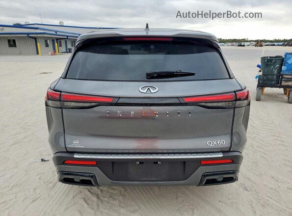 5N1AL1ER2SC332074 2025 INFINITI QX60 Gray Rear view