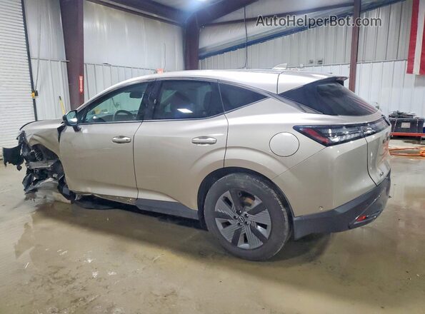 5N1AZ3CS5SC130605 2025 NISSAN MURANO Silver Հետևի ձախ