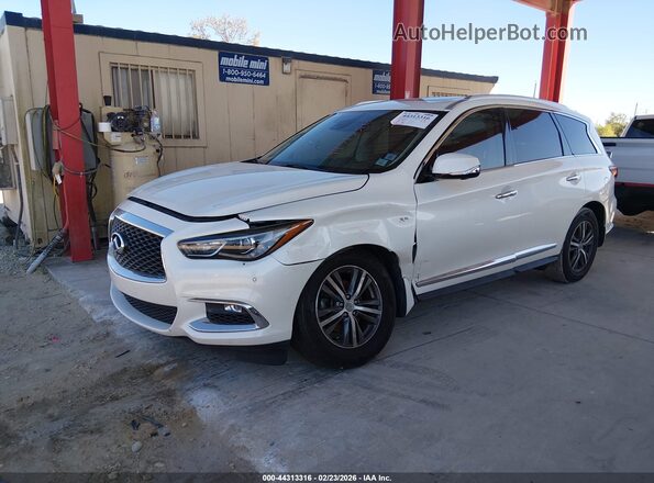 5N1DL0MN4KC562754 2019 INFINITI QX60 White Առջևի ձախ երեք քառորդ տեսարան
