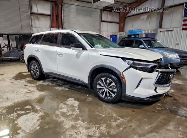 5N1DL1ES3RC339562 2024 INFINITI QX60 White Delantero derecho