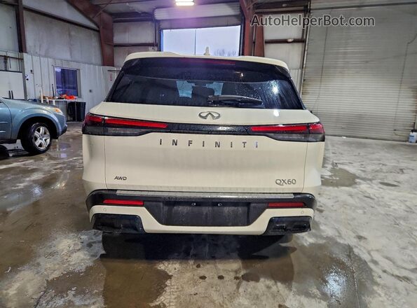 5N1DL1ES3RC339562 2024 INFINITI QX60 White Vista trasera