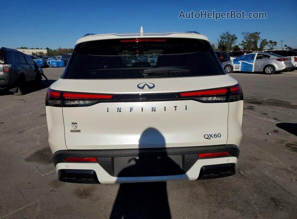 5N1DL1FR0RC344651 2024 INFINITI QX60 White Հետևի տեսք