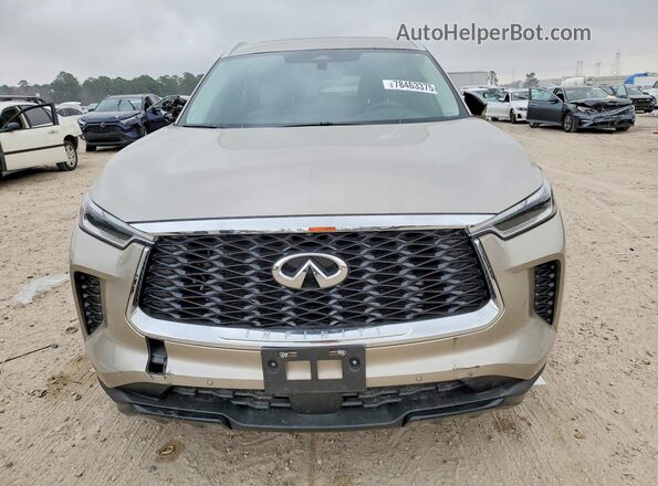 5N1DL1FS6RC339229 2024 INFINITI QX60 Gold Vista frontal