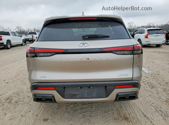5N1DL1FS6RC339229 2024 INFINITI QX60 Gold Vista trasera