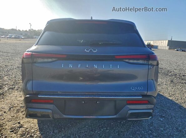 5N1DL1GR3PC358488 2023 INFINITI QX60 Серый Вид сзади