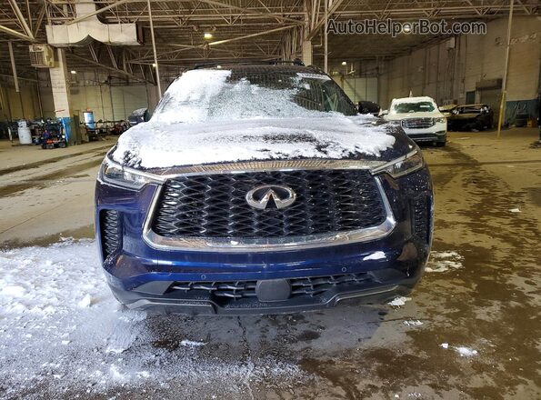 5N1DL1HU3RC344256 2024 INFINITI QX60 Blue წინა ხედი