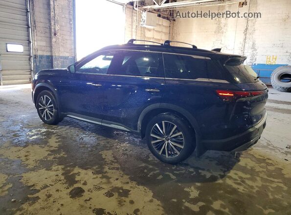 5N1DL1HU3RC344256 2024 INFINITI QX60 Blue უკანა მარცხენა
