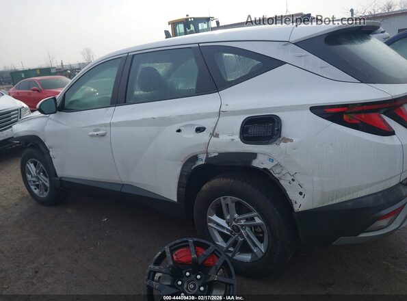5NMJACDE7SH529652 2025 HYUNDAI TUCSON Белый Панорамный вид салона 360°
