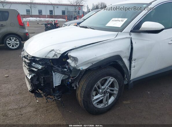 5NMJACDE7SH529652 2025 HYUNDAI TUCSON Белый Вид спереди