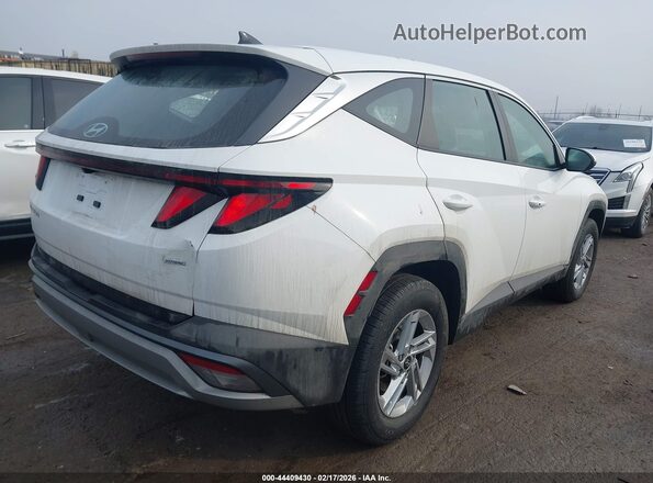 5NMJACDE7SH529652 2025 HYUNDAI TUCSON Белый Задняя правая четверть