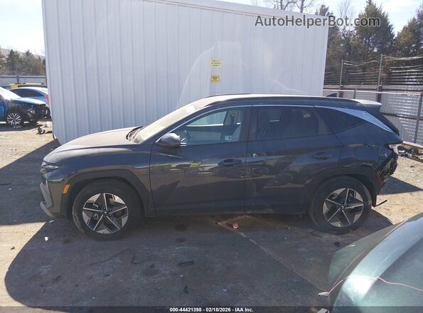 5NMJB3DE5SH491366 2025 HYUNDAI TUCSON Серый Панорамный вид салона 360°