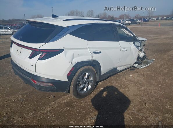 5NMJBCAE7PH197222 2023 HYUNDAI TUCSON White Trasero derecho