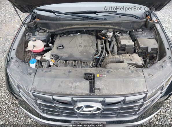 5NMJBCAE7PH263591 2023 HYUNDAI TUCSON Black Հետևի տեսք
