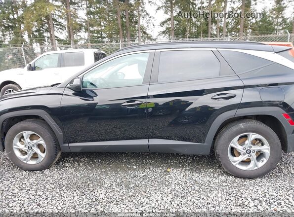5NMJBCAE7PH263591 2023 HYUNDAI TUCSON Black 