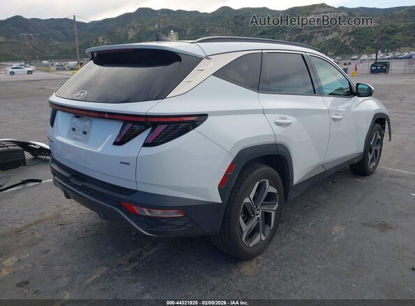 5NMJECAE9NH034821 2022 HYUNDAI TUCSON White Tył prawy
