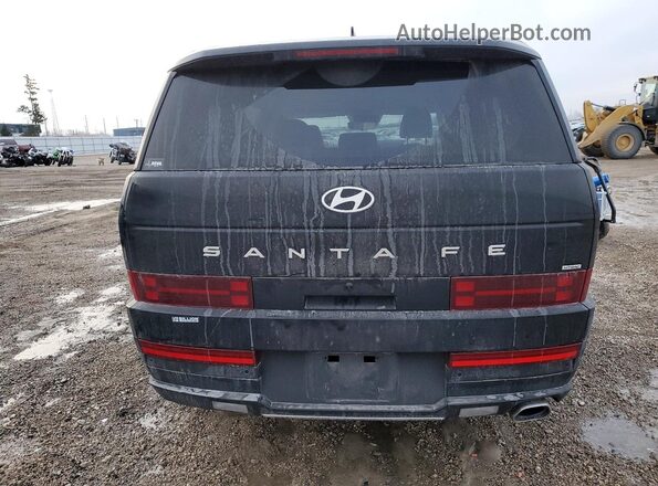 5NMP1DGL2SH129055 2025 HYUNDAI SANTA Black Widok z tyłu