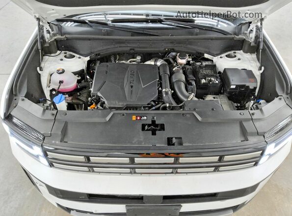 5NMP24GL2SH131188 2025 HYUNDAI SANTA Белый 