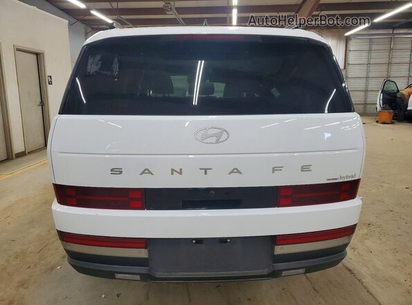 5NMP3DG19SH067467 2025 HYUNDAI SANTA White უკანა ხედი