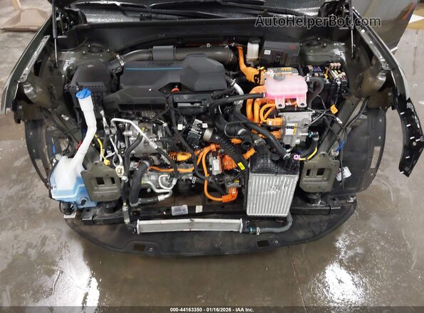 5NMP3DG1XRH004498 2024 HYUNDAI SANTA FE HYBRID Зеленый Вид сзади
